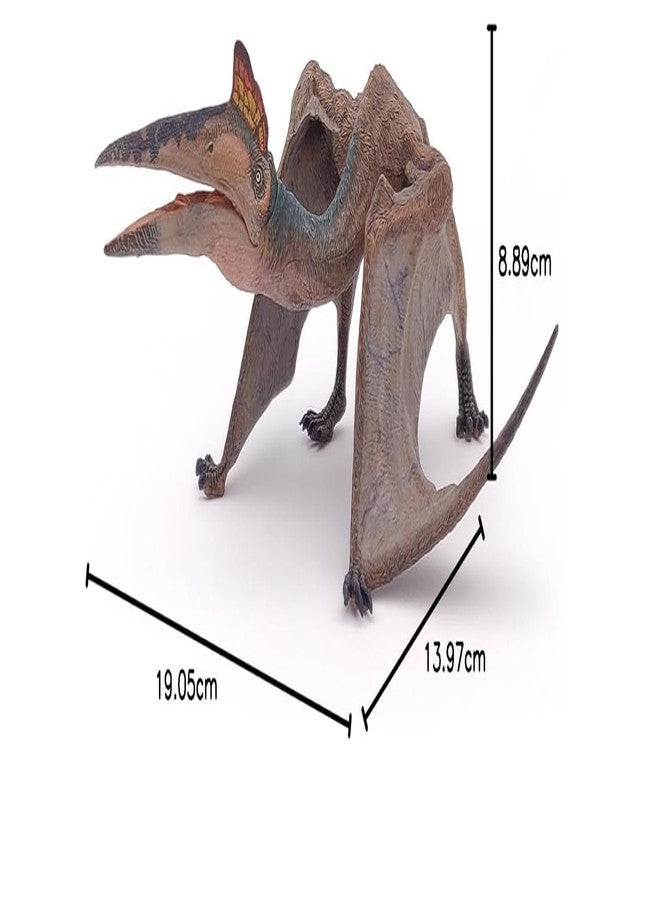FUNFOB Dinosaur Toy Figure Width -20cm Quetzalcoatlus Toy for Kids & Adults PVC Multicolour | Wings with Long Beak Dino - Image 3